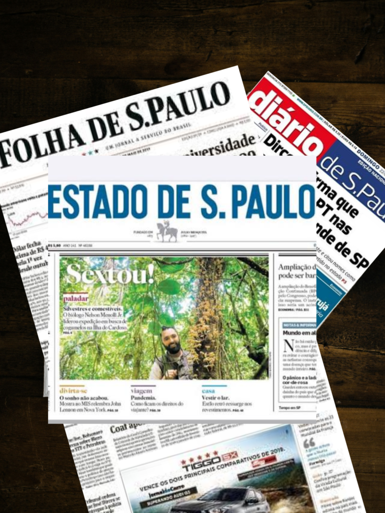 diseño sin título (7)